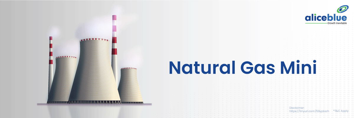 Natural Gas Mini