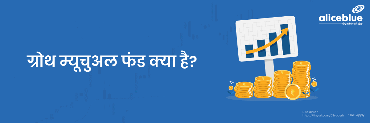 Growth Fund Meaning Hindi