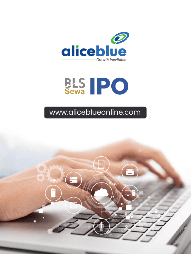 BLS E-Services IPO