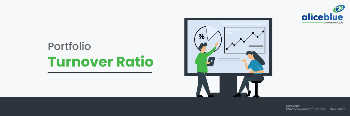 Portfolio Turnover Ratio