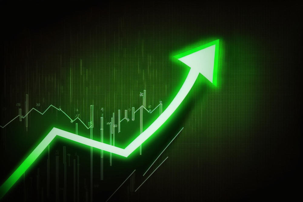 Wise Travel IPO Listing Price