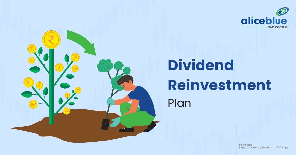 Dividend Reinvestment Plan