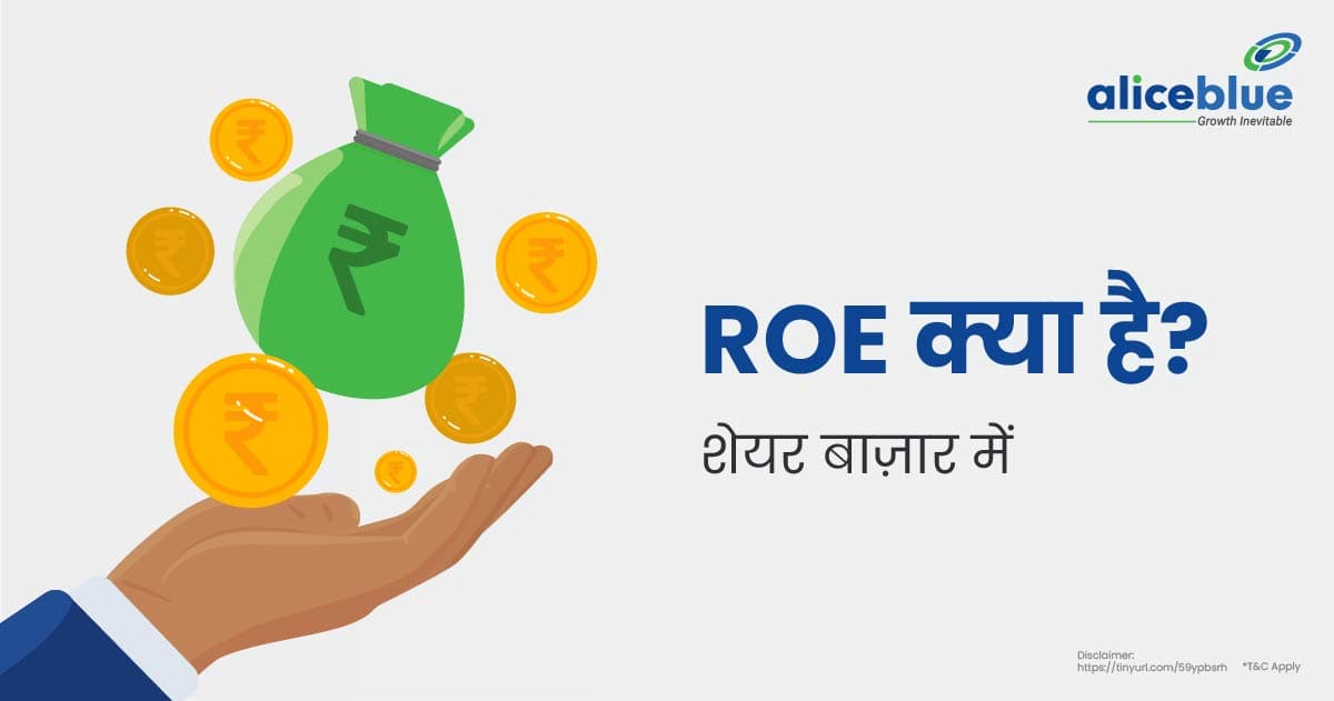 ROE Meaning In Share Market In Hindi