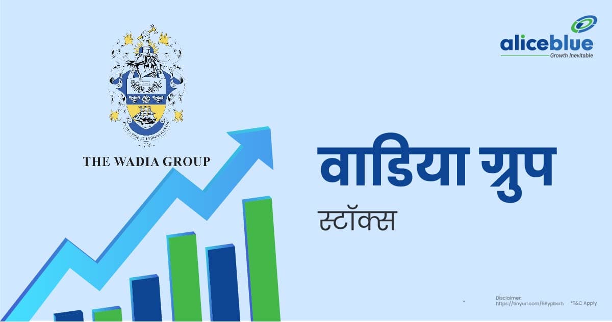 Wadia Group Stocks In Hindi