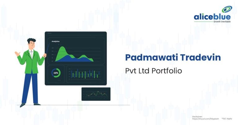 Padmawati Tradevin Pvt Ltd Portfolio English