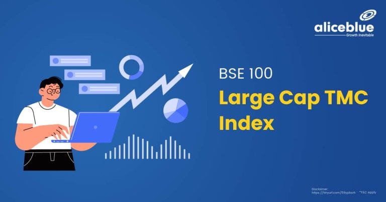 BSE 100 LargeCap TMC Index English