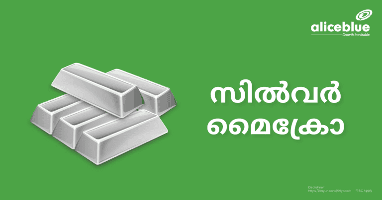 Silver Micro Malayalam